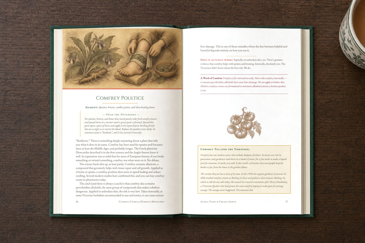 The open book at the Comfrey Poultice spread, with illustration, period recipe and commentary